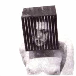 Die Form : Rose au Coeur Violet